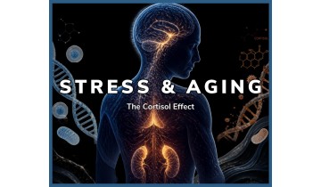 Stress and Aging: The Cortisol Effect